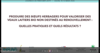 Produire des b&oelig;ufs herbagers pour valoriser des veaux laitiers bio non destin&eacute;s au renouvellement : quelles pratiques et quels r&eacute;sultats ?