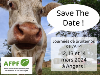 Save the date JP 2024