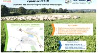 Portes-ouvertes sur la diversification des ressources fourragères en élevage ovin