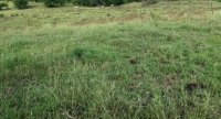 « Des prairies améliorées pour une herbe de qualité et des fourrages sécurisés »