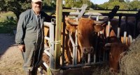 « En Limousin, élever en bio des vaches avec les seules ressources de la ferme »