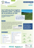 Les Cultures Fourragères Estivales (CFE) : produire de la protéine en été (INRAE)