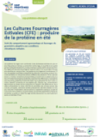 Les Cultures Fourragères Estivales (CFE) : produire de la protéine en été (Compte rendu)