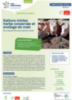 Rations mixtes herbe conservée et ensilage de maïs pour engraisser des jeunes génisses viande