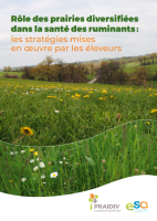 R&ocirc;le des prairies diversifi&eacute;es dans la sant&eacute; des ruminants : les strat&eacute;gies mises en &oelig;uvre par les &eacute;leveurs