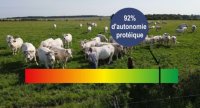 François Dubois cultive l'autonomie protéique à la ferme
