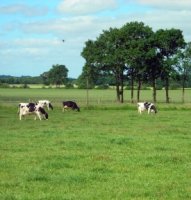 La ferme expérimentale a un système autonome en fourrages et économe