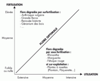 Amélioration de la prairie par la fertilisation