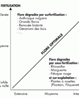 Amélioration de la prairie par la fertilisation