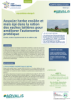 Associer herbe ensilée et maïs épi dans la ration des vaches laitières pour améliorer l’autonomie protéique