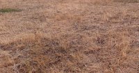 R&eacute;agir face &agrave; la s&egrave;cheresse, dans l&rsquo;imm&eacute;diat et sur le long terme