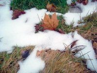 En hiver, les prairies n'hibernent pas !