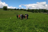 Prairie multi-espèces du Mourier (87)