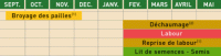 Semis de printemps après récolte d'automne 3