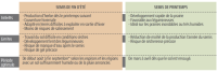 Avantages et inconvénients période semis