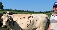 80 vaches bio en système herbager avec pâturage tournant