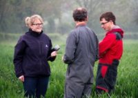 Conseillers et agriculteurs dans un champs de blé