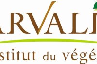 Logo arvalis