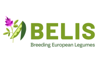 BELIS