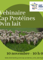 Diaporama du Webinaire Cap Protéines ovin lait du 10 novembre 2022