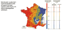 Date de semis au plus tard