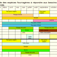 espèces fourragères adaptées aux ovins