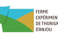 Logo Thorigné d'anjou