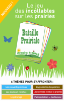 Bataille Prairiale affiche